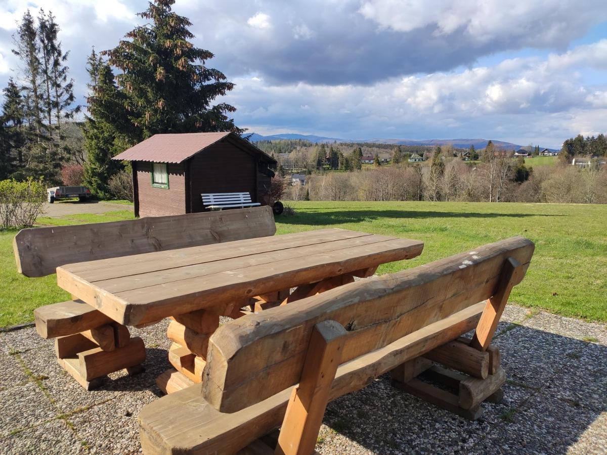 Ferienwohnung Harzluchs Mit Balkon, Netflix Und Sauna Im Haus Hohegeiß Exteriör bild