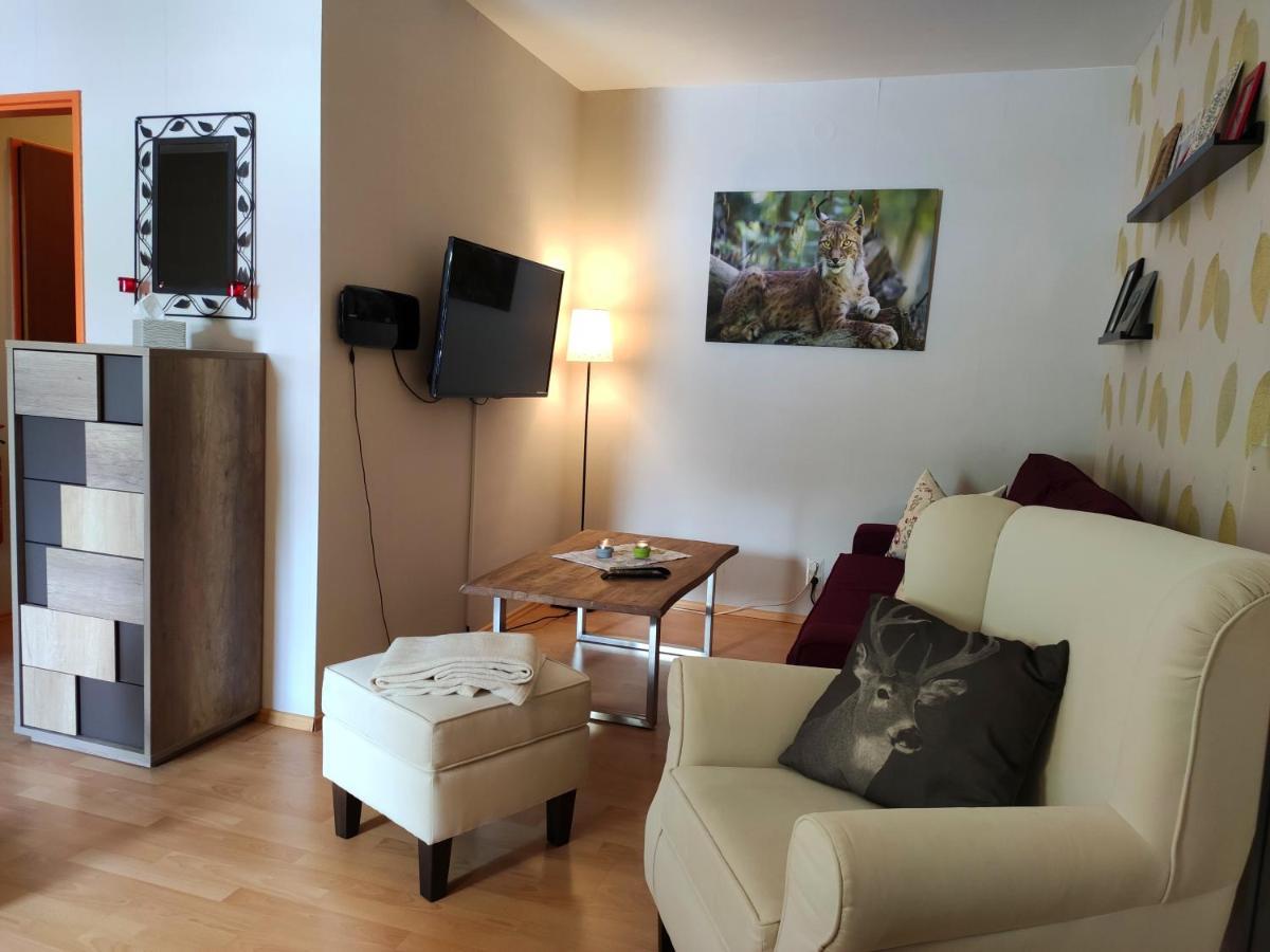 Ferienwohnung Harzluchs Mit Balkon, Netflix Und Sauna Im Haus Hohegeiß Exteriör bild