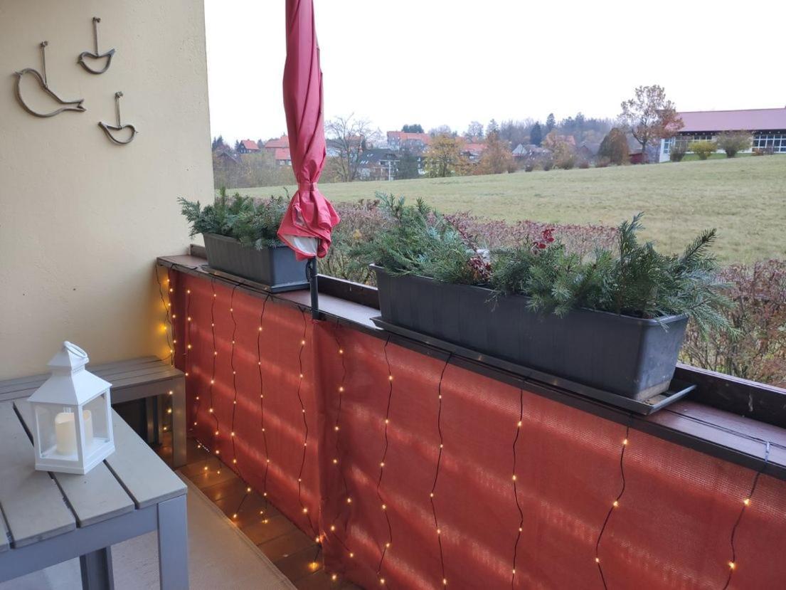 Ferienwohnung Harzluchs Mit Balkon, Netflix Und Sauna Im Haus Hohegeiß Exteriör bild