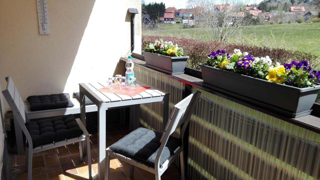 Ferienwohnung Harzluchs Mit Balkon, Netflix Und Sauna Im Haus Hohegeiß Exteriör bild