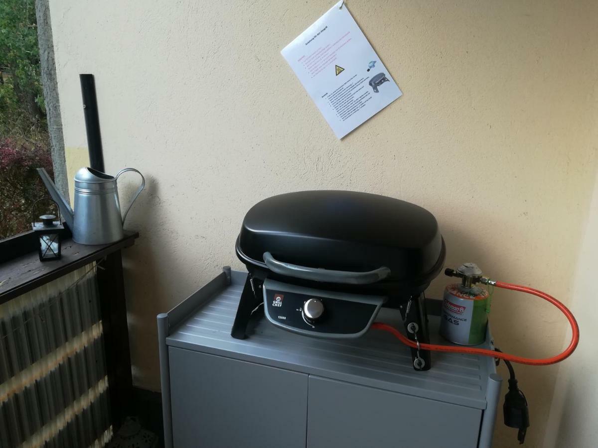 Ferienwohnung Harzluchs Mit Balkon, Netflix Und Sauna Im Haus Hohegeiß Exteriör bild